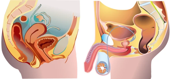 What to do about right scrotal ptosis?