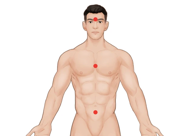 Where should the prostatitis patch be applied?