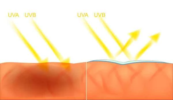 Is ultraviolet light harmful to the scrotum?