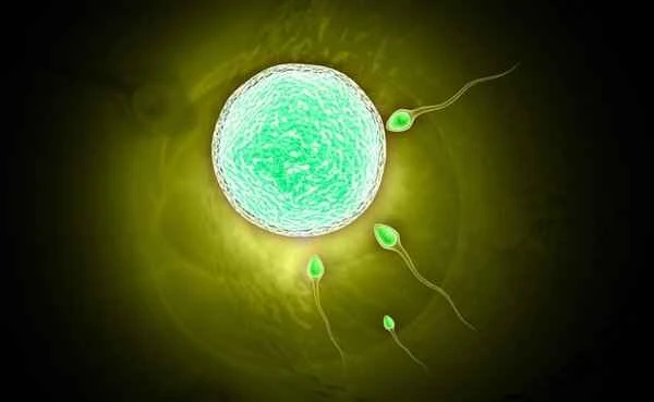 Can a blocked vas deferens cause ejaculation?