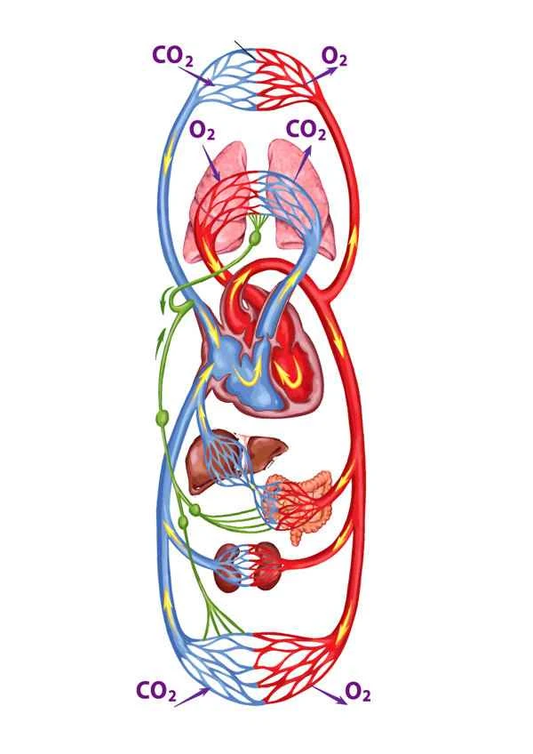 Why does my scrotum sometimes feel cold and sometimes hot?