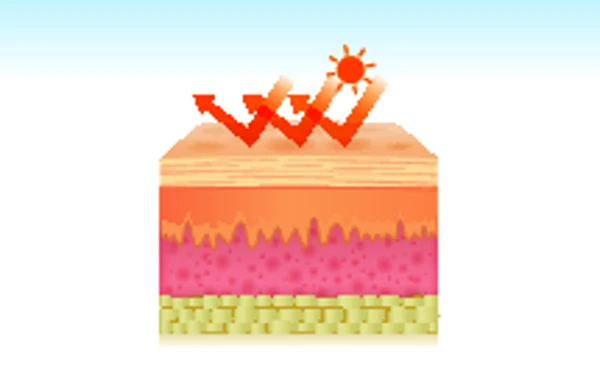 Is ultraviolet light harmful to the scrotum?