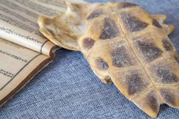 Itching of the glans penis and discharge of white fluid