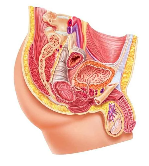 Symptoms of aseptic prostatitis