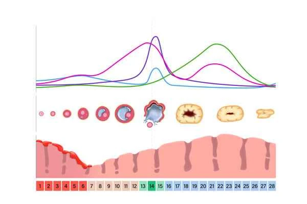 Does high prolactin cause asthenospermia?