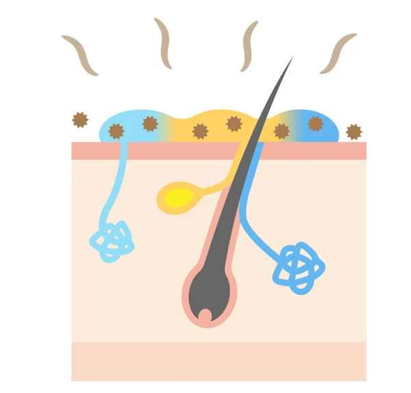 What constitutes symptoms of scrotal dampness?