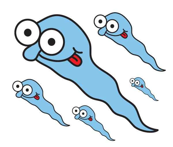 What injections are most effective for oligospermia and azoospermia?