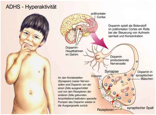 What causes abdominal pain after ejaculation?