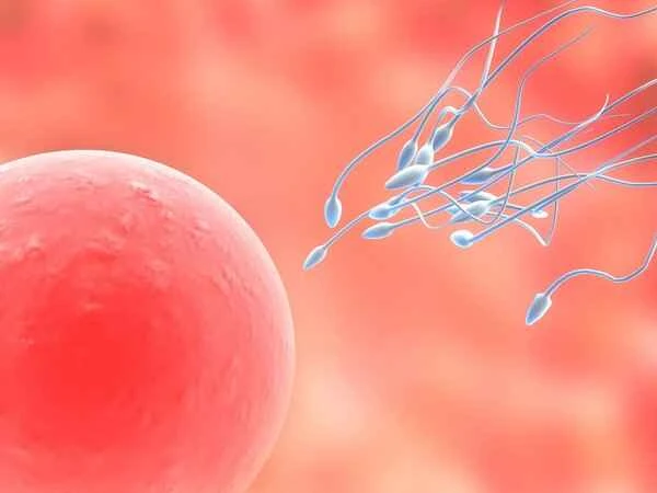 What injections are most effective for oligospermia and azoospermia?