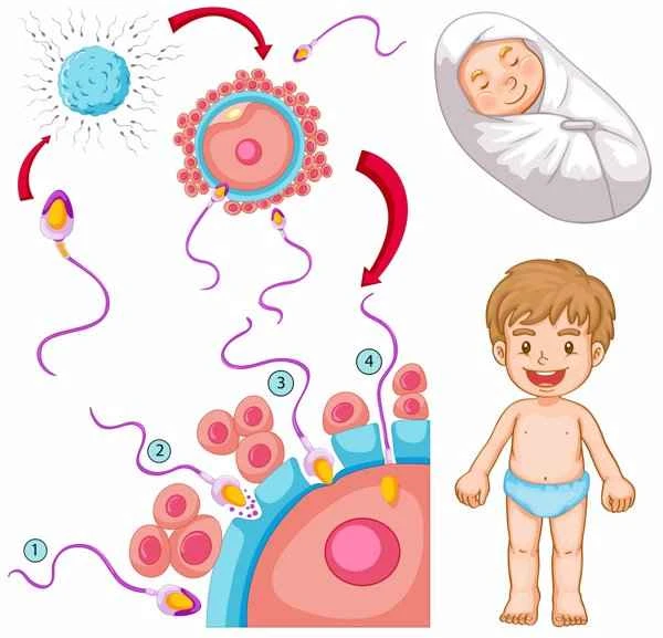 What calcium supplements should I take for low sperm count and poor sperm motility?